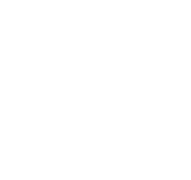 dallas